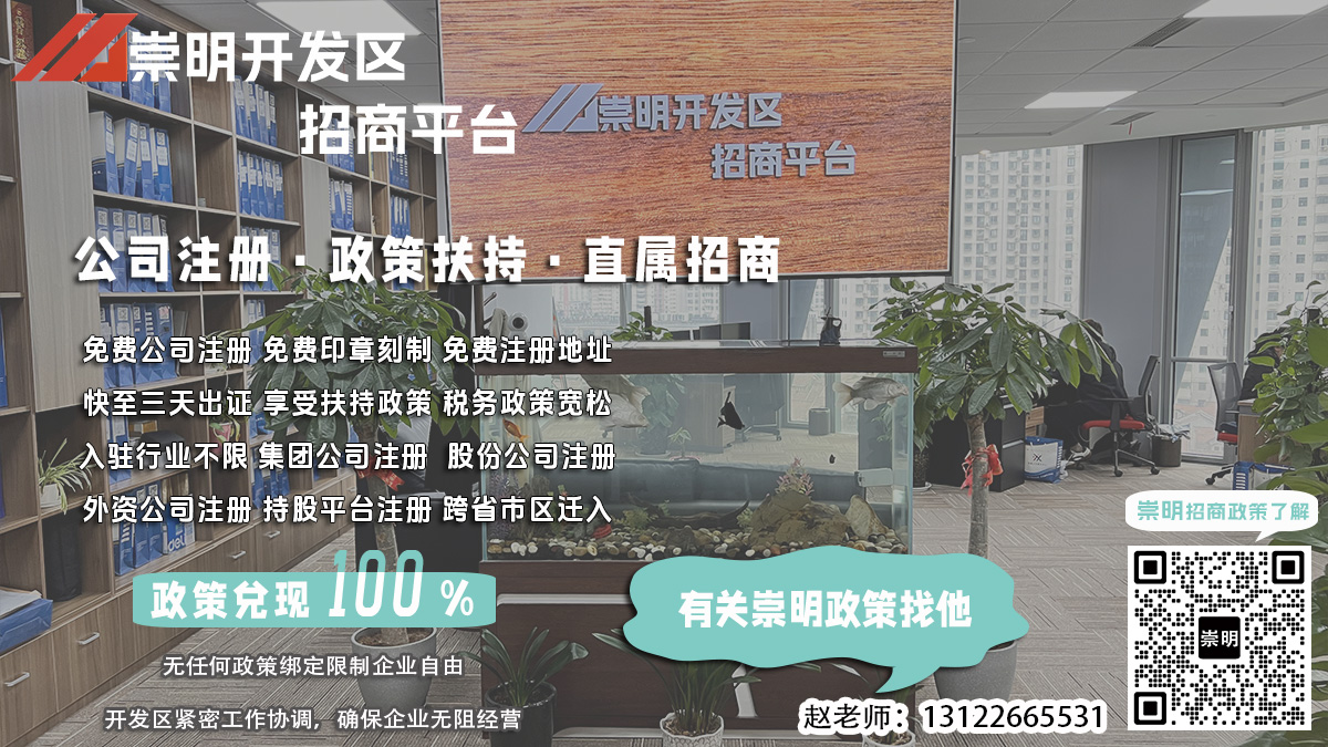 崇明工业管道公司注册后如何进行年报？